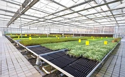 u=2602825186,475703996&fm=253&fmt=auto&app=138&f=JPEG.webp.jpg u=2602825186,475703996&fm=253&fmt=auto&app=138&f=JPEG.webp.jpg